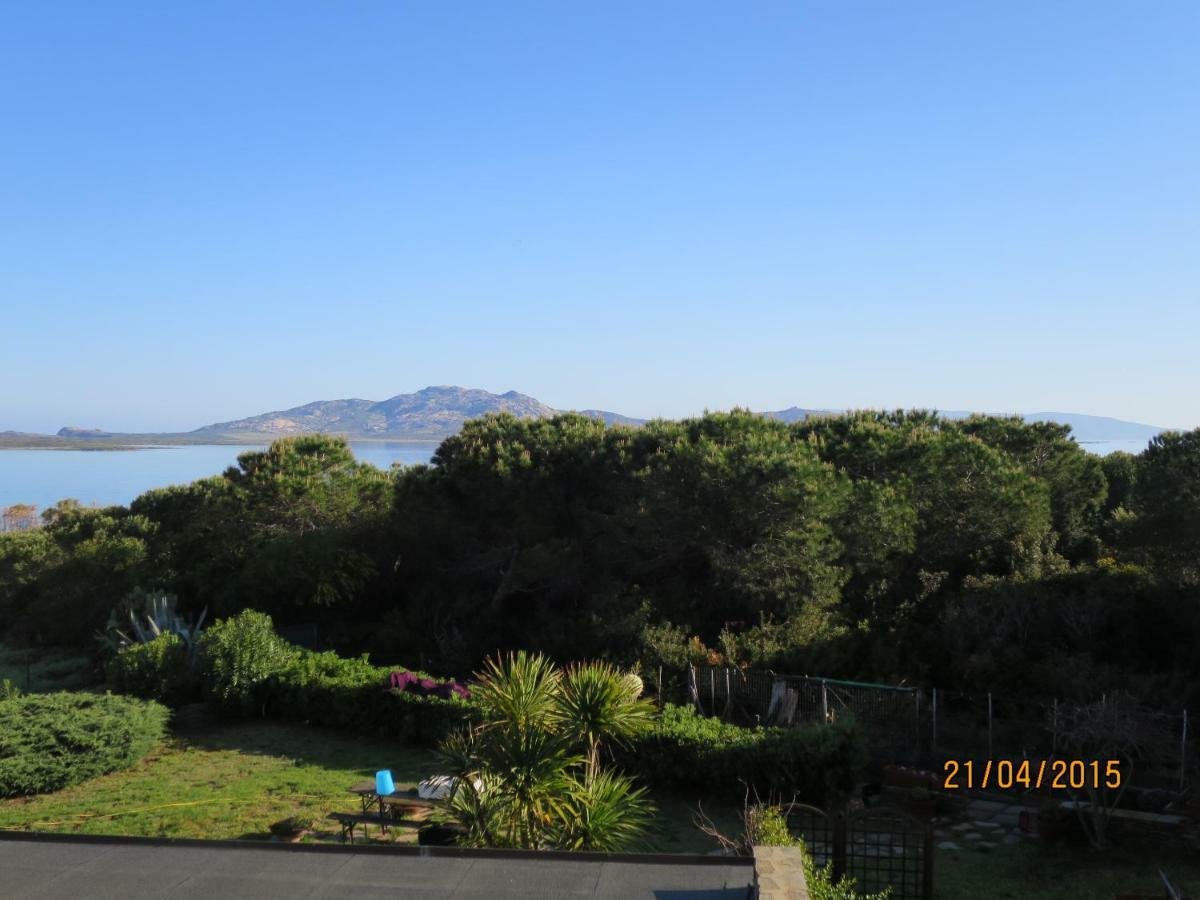 Glicine 7 Villa Stintino Dış mekan fotoğraf